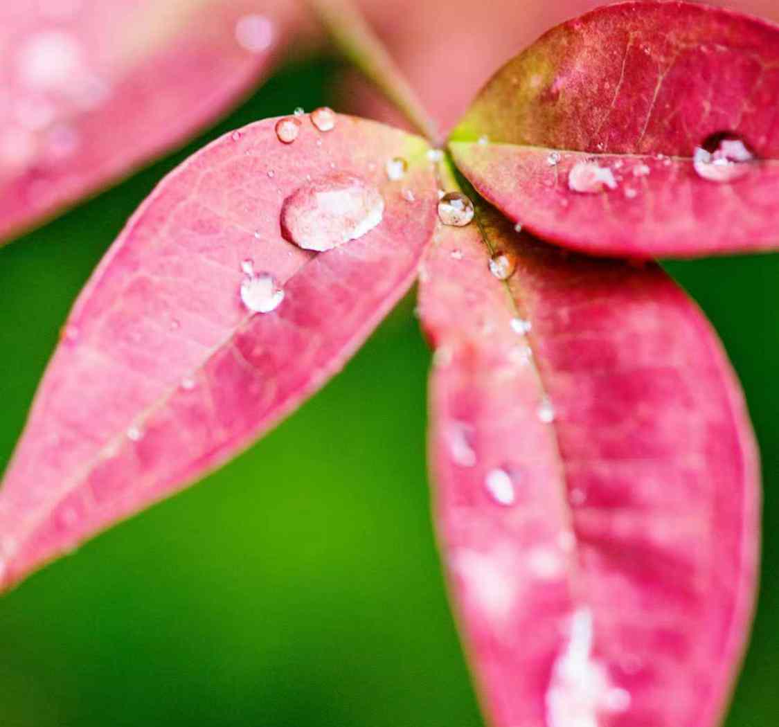别让昨天的雨，淋湿今天的自己。