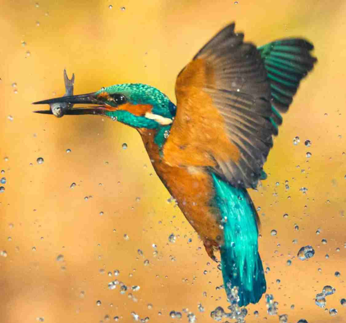 把抱怨的时间用来提升，把焦虑的情绪换成行动。