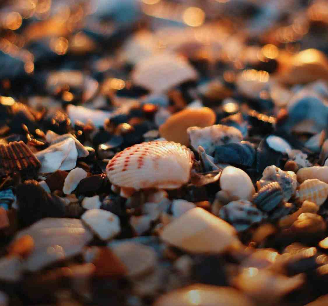 用宏大的世界稀释痛苦，用微小的事情感知幸福。