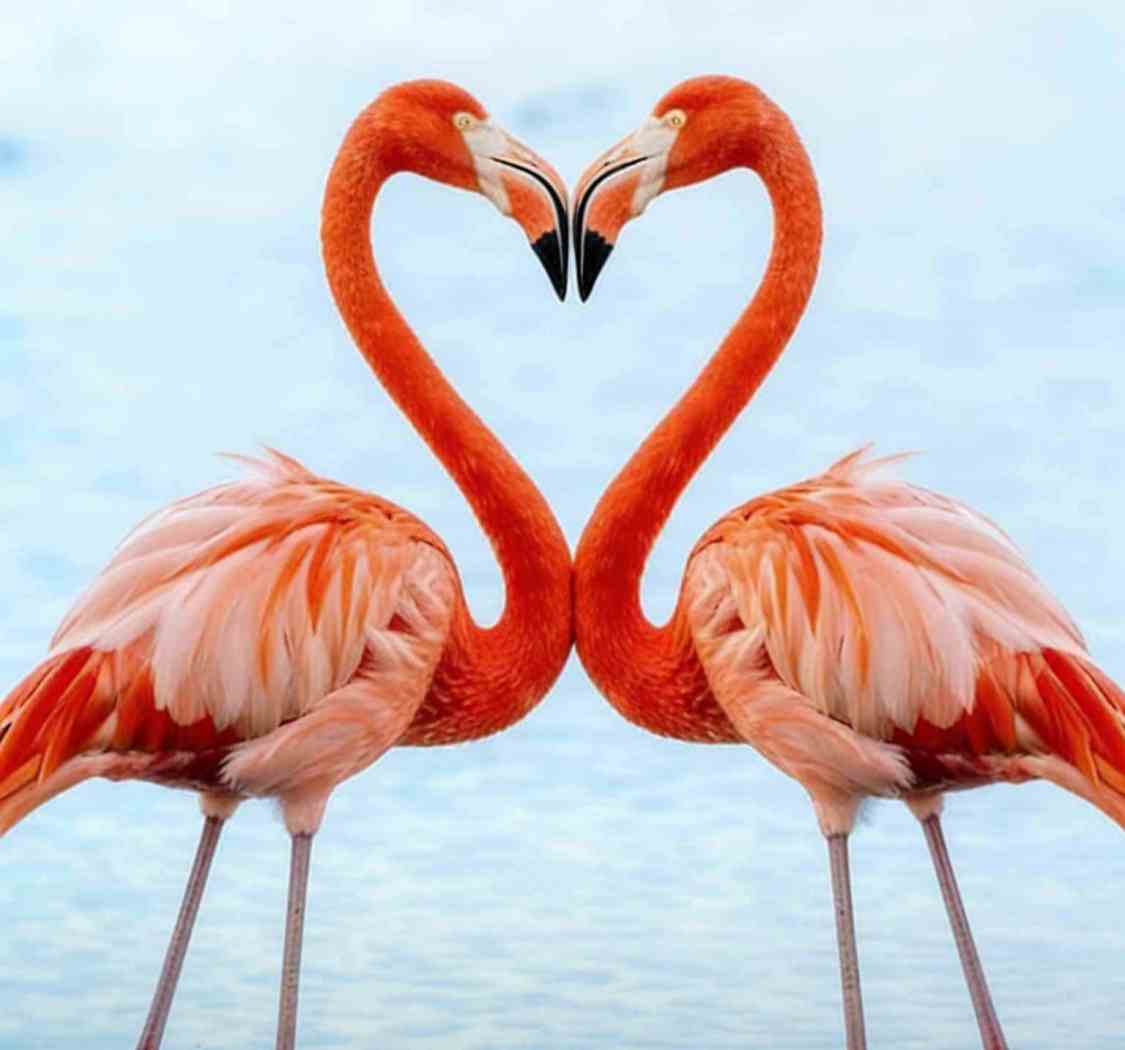 错的人，迟早会走散；对的人，早晚会相逢。