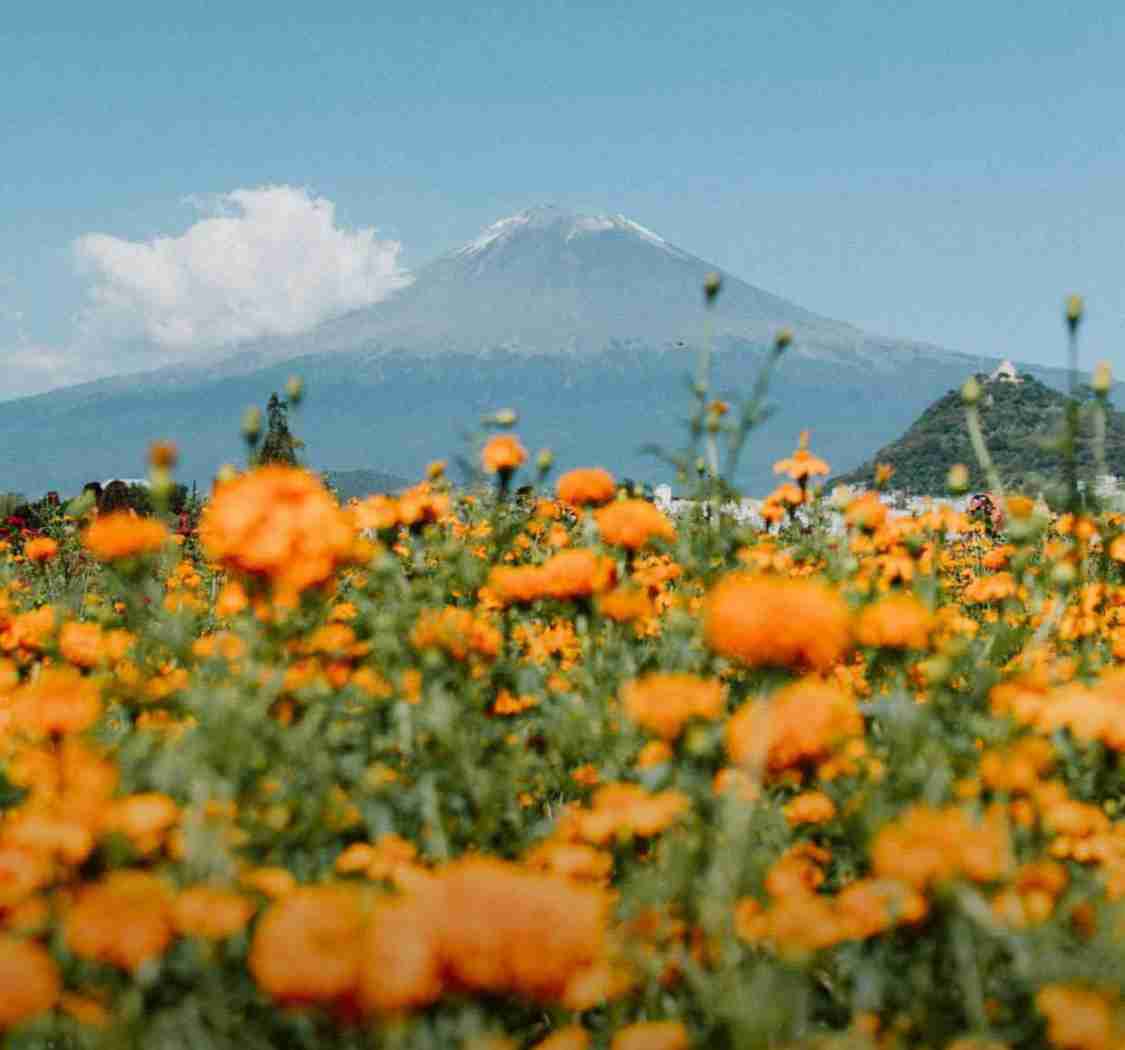 相信所有的汗水与眼泪，最后会化成一篇山花烂漫。